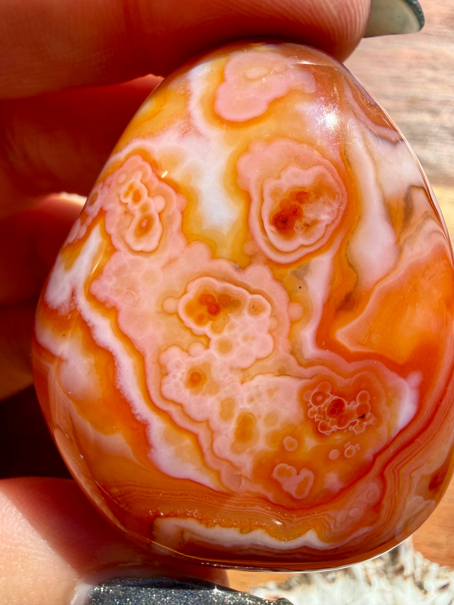 SARDONYX PALM STONE