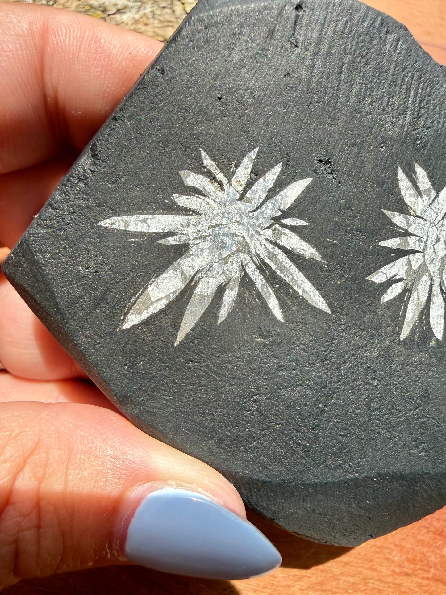 CHRYSANTHEMUM STONE FREEFORM