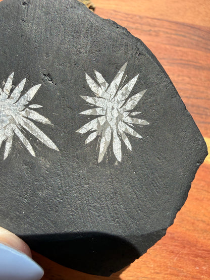CHRYSANTHEMUM STONE FREEFORM