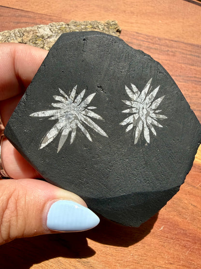 CHRYSANTHEMUM STONE FREEFORM