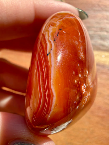 SARDONYX PALM STONE
