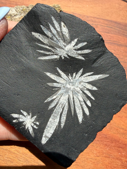 CHRYSANTHEMUM STONE FREEFORM