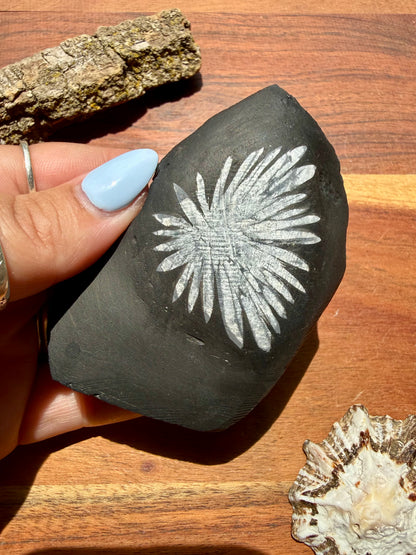 CHRYSANTHEMUM STONE FREEFORM