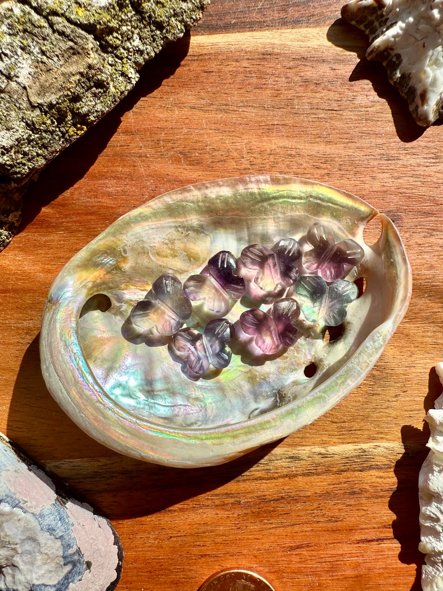 MINI RAINBOW FLUORITE BUTTERFLY CARVING [QTY. 1]