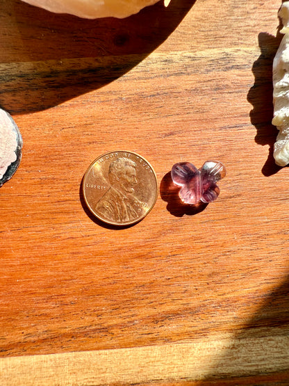 MINI RAINBOW FLUORITE BUTTERFLY CARVING [QTY. 1]