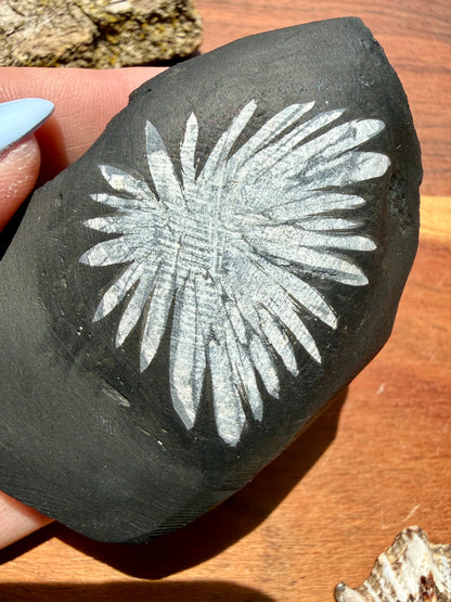 CHRYSANTHEMUM STONE FREEFORM