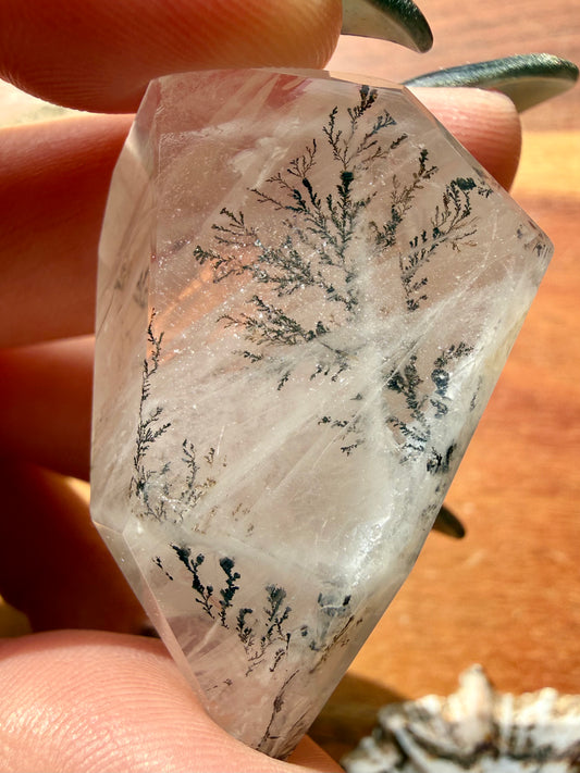 DENDRITIC QUARTZ FREEFORM
