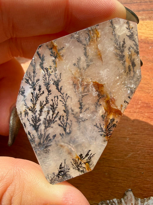 DENDRITIC QUARTZ FREEFORM