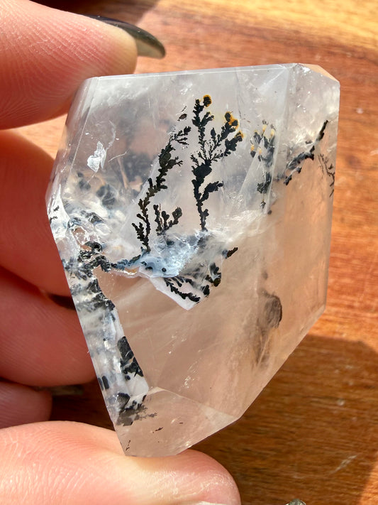 DENDRITIC QUARTZ FREEFORM