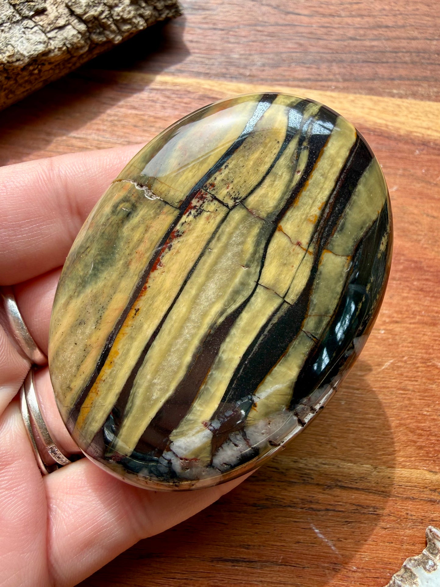 TIGER IRON PALM STONE