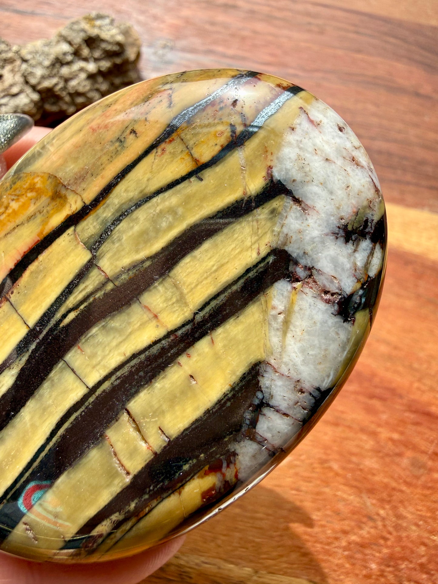 TIGER IRON PALM STONE