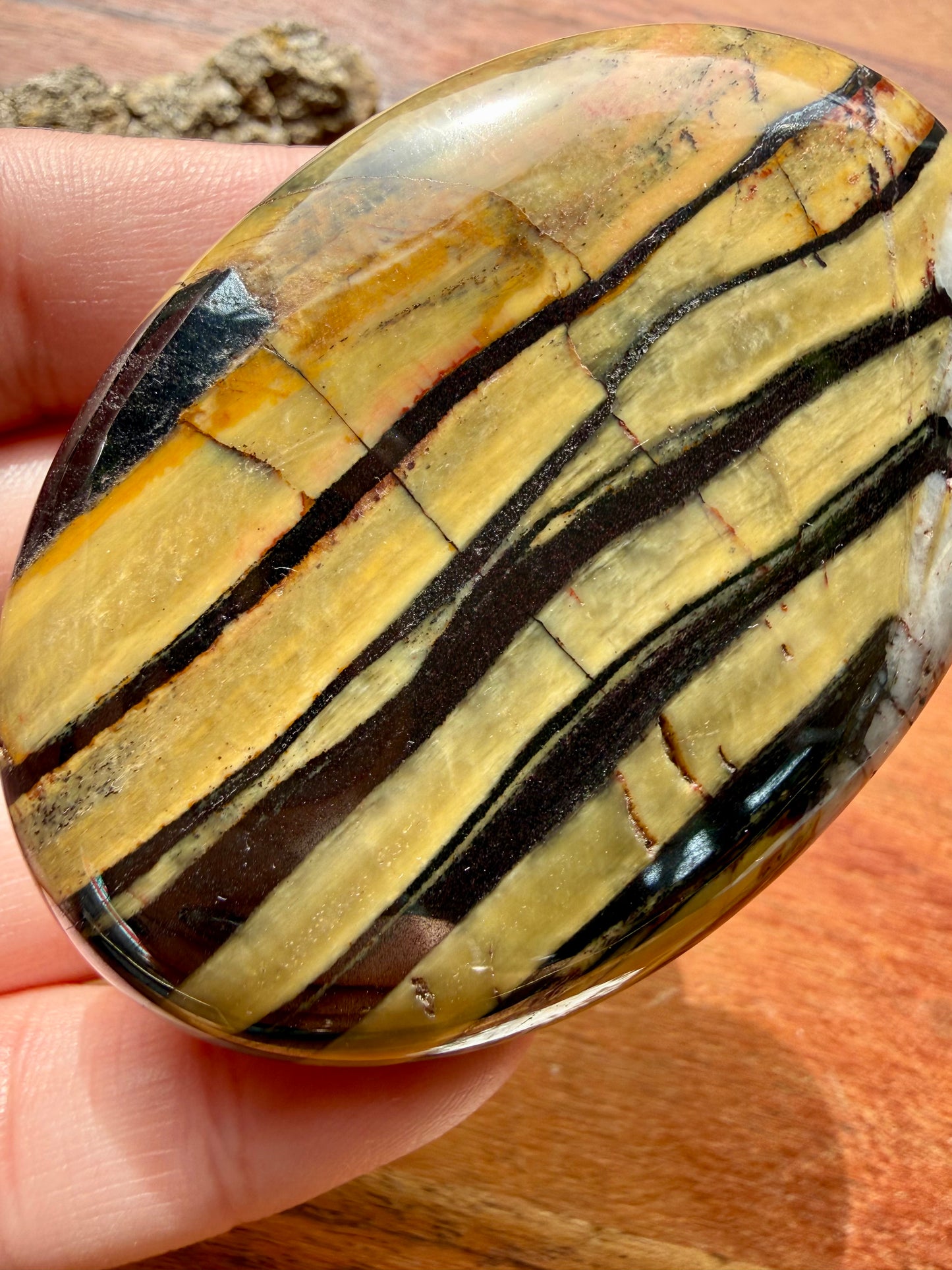 TIGER IRON PALM STONE