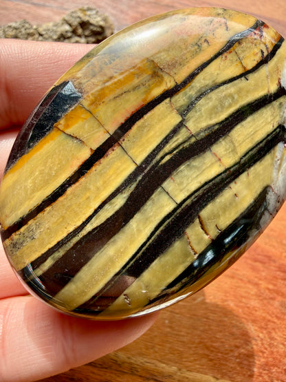 TIGER IRON PALM STONE