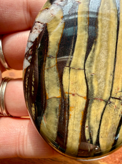 TIGER IRON PALM STONE