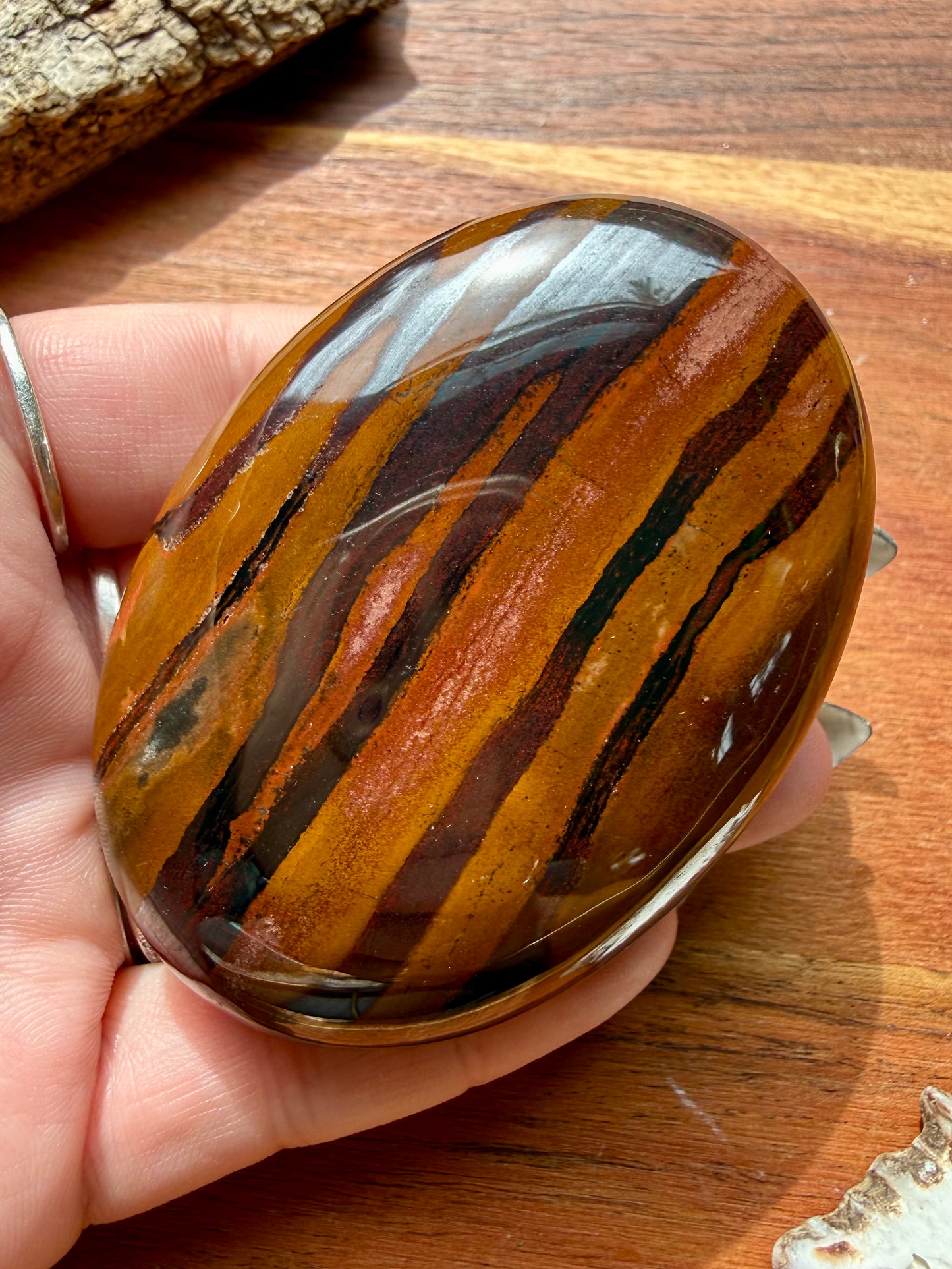 TIGER IRON PALM STONE