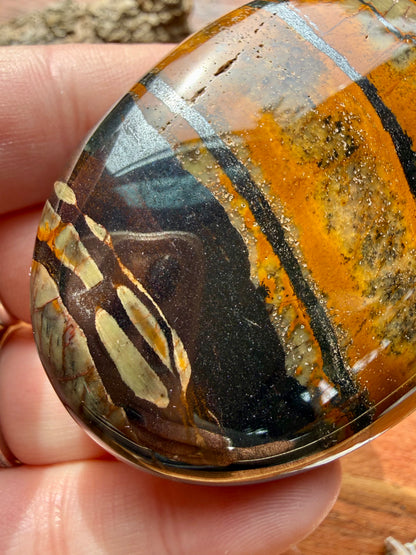 TIGER IRON PALM STONE