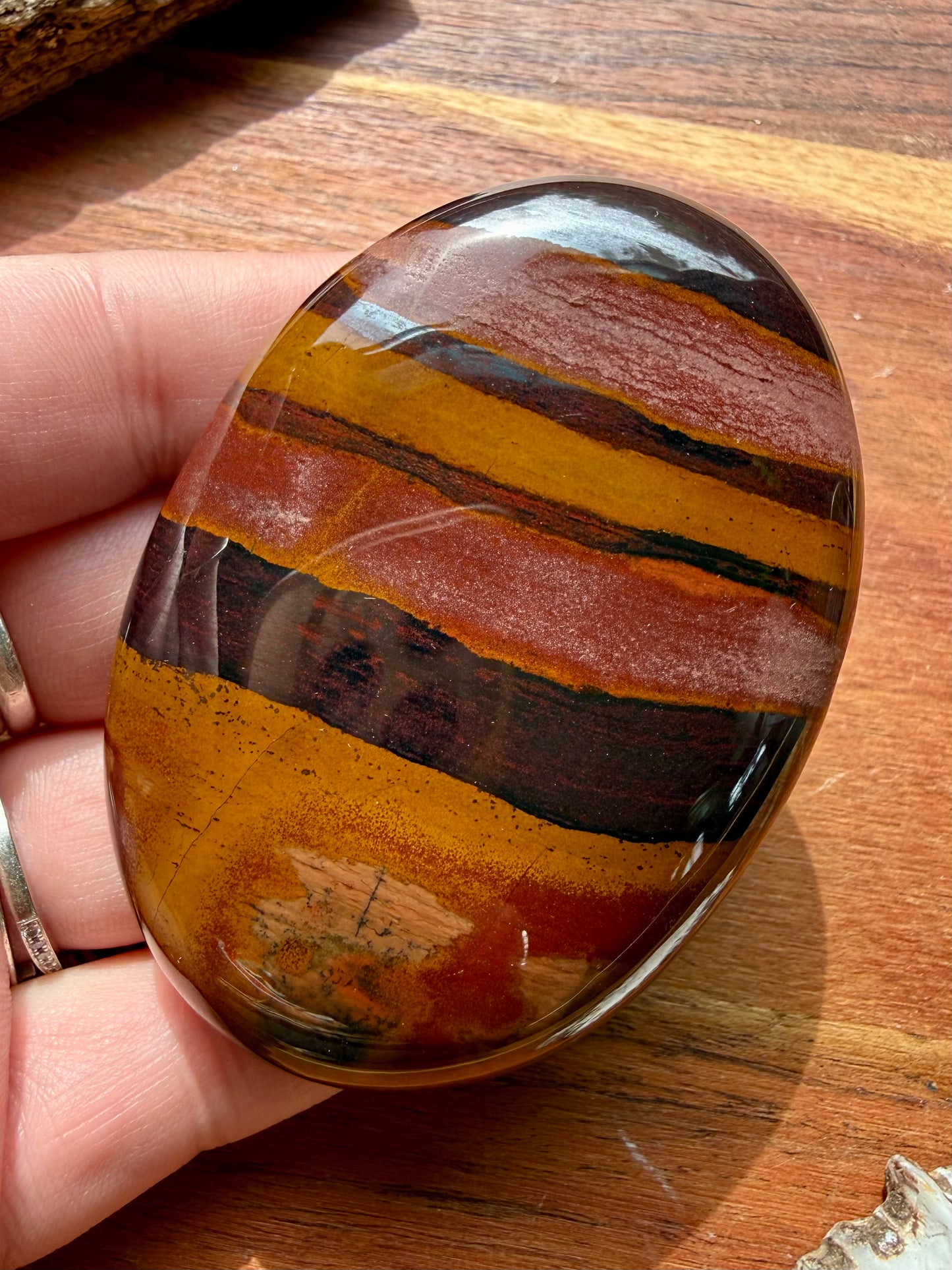TIGER IRON PALM STONE