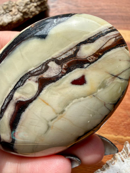 TIGER IRON PALM STONE