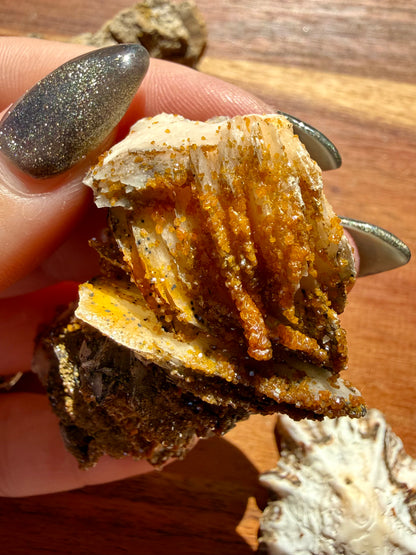 BARITE, MAGANESE + VANADINITE