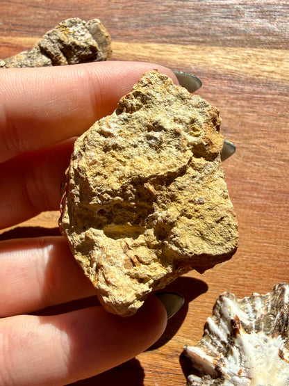 VANADINITE + MAGANESE
