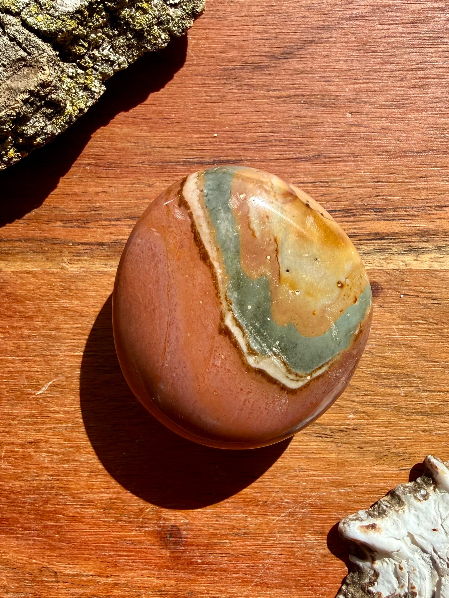 POLYCHROME JASPER PALM STONE