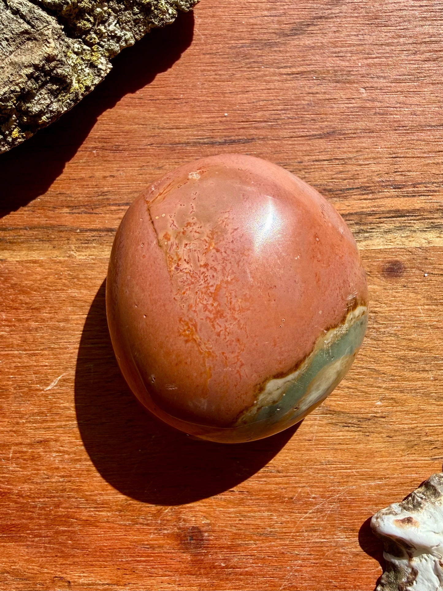 POLYCHROME JASPER PALM STONE
