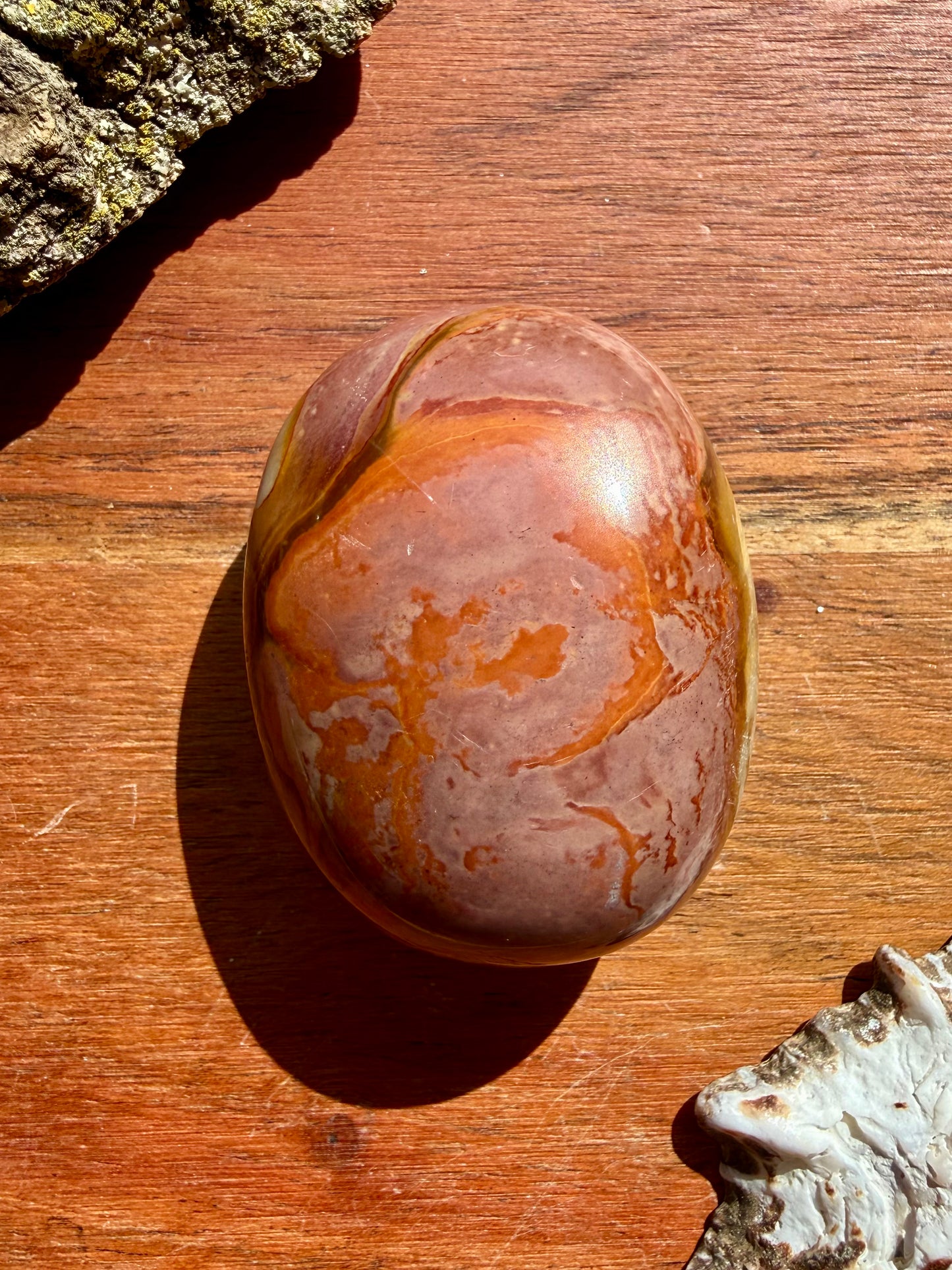 POLYCHROME JASPER PALM STONE