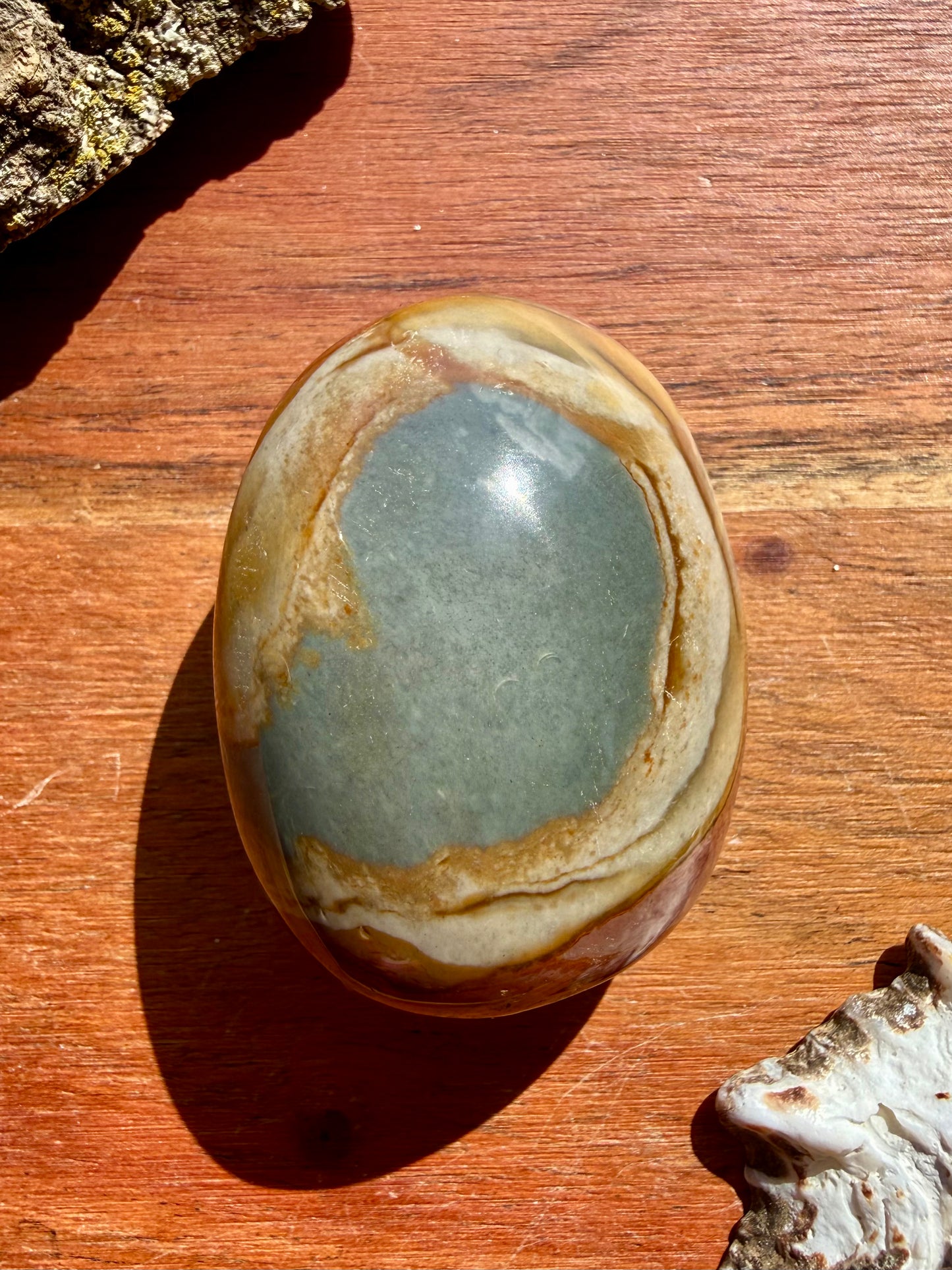 POLYCHROME JASPER PALM STONE