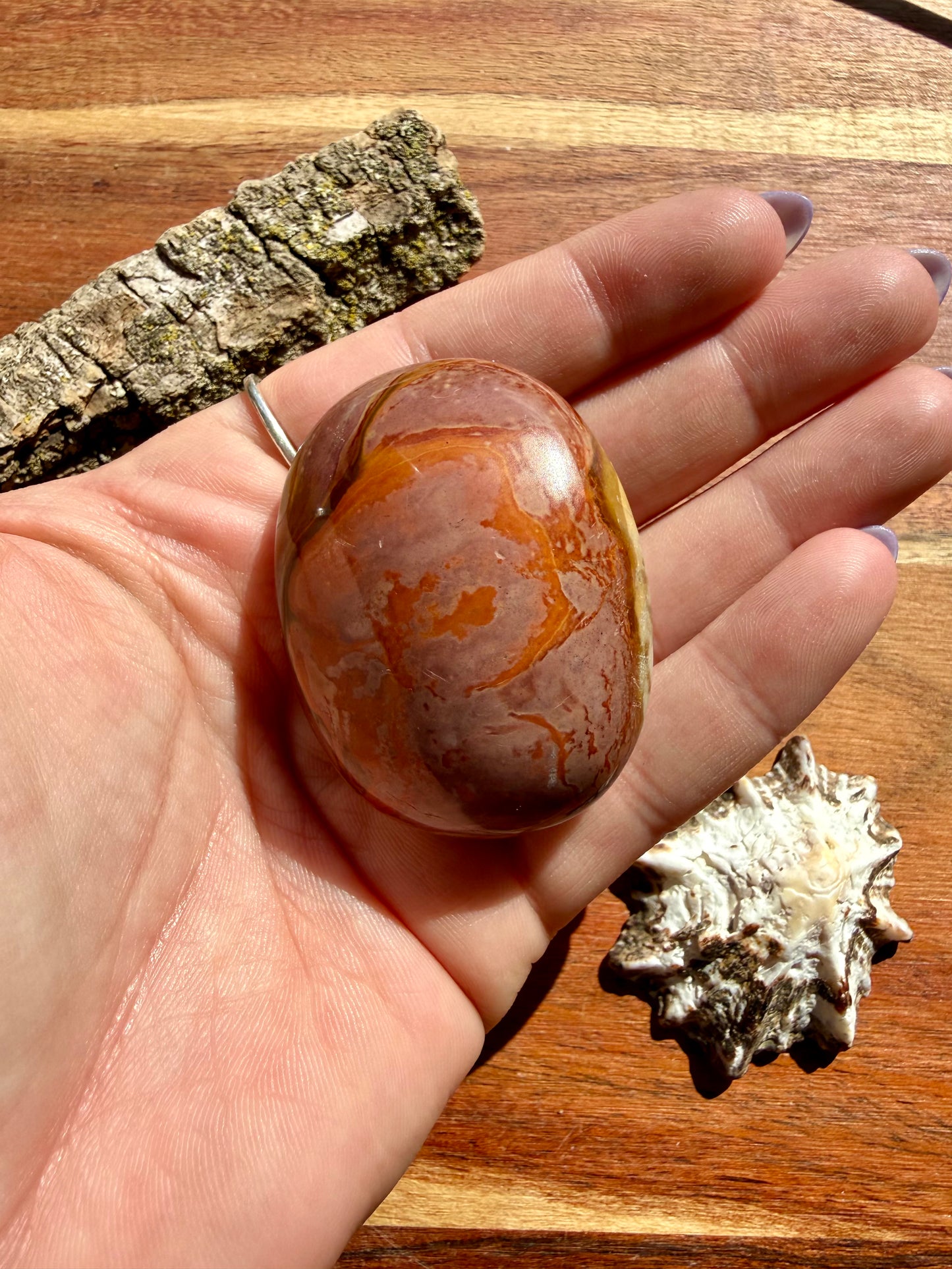 POLYCHROME JASPER PALM STONE