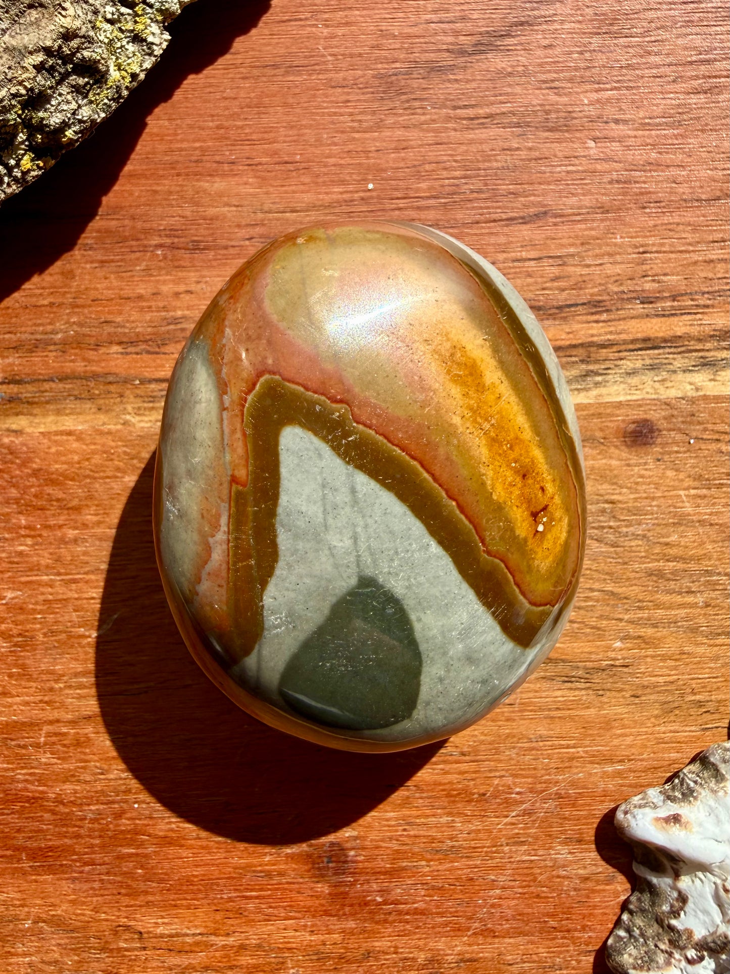 POLYCHROME JASPER PALM STONE