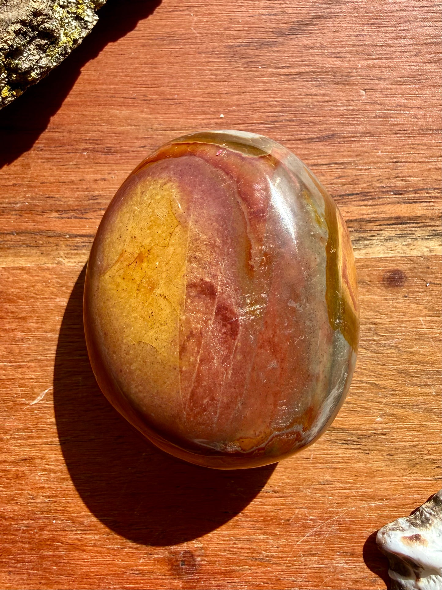 POLYCHROME JASPER PALM STONE