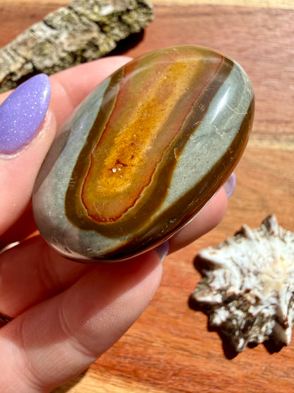 POLYCHROME JASPER PALM STONE