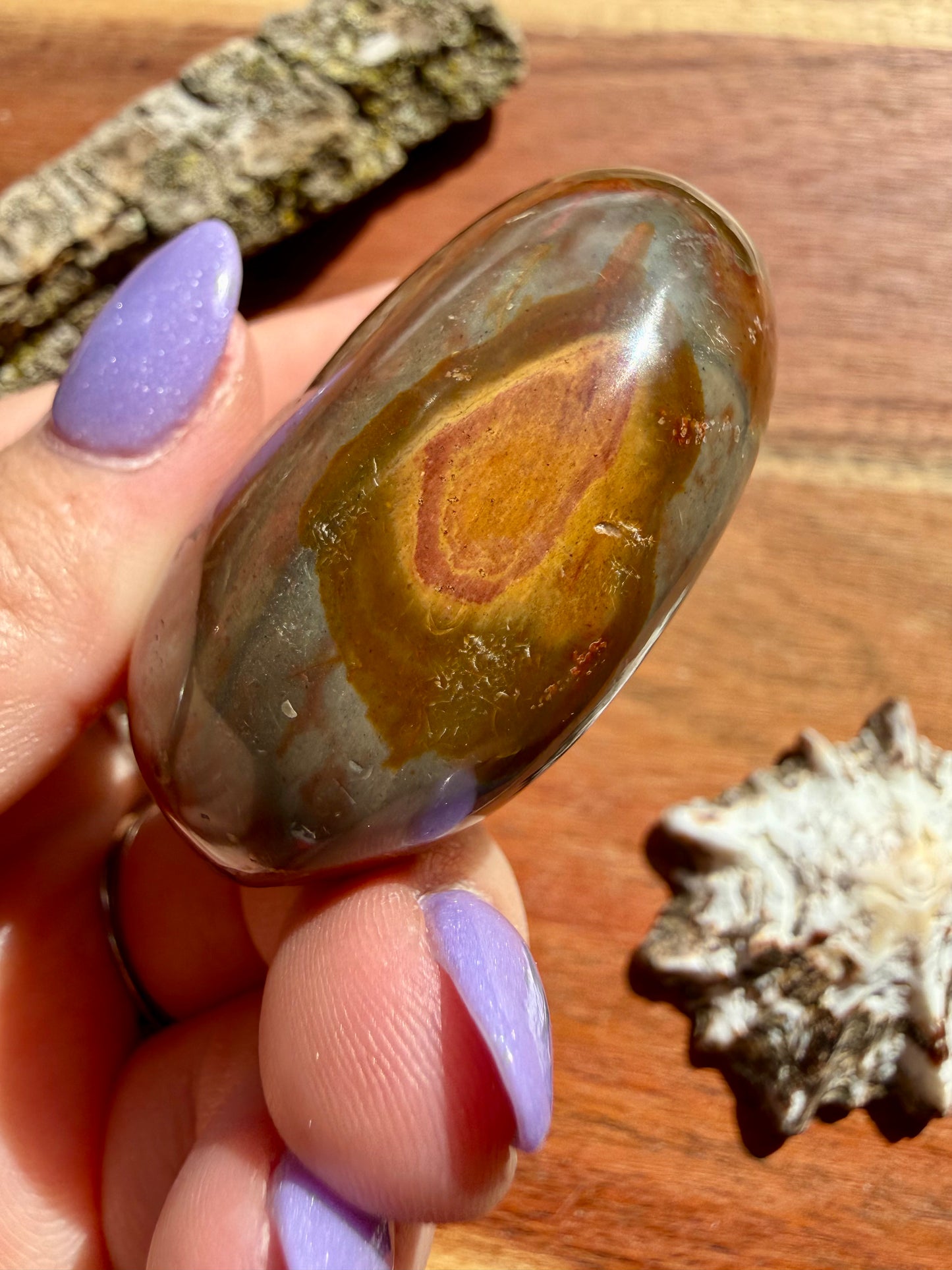 POLYCHROME JASPER PALM STONE