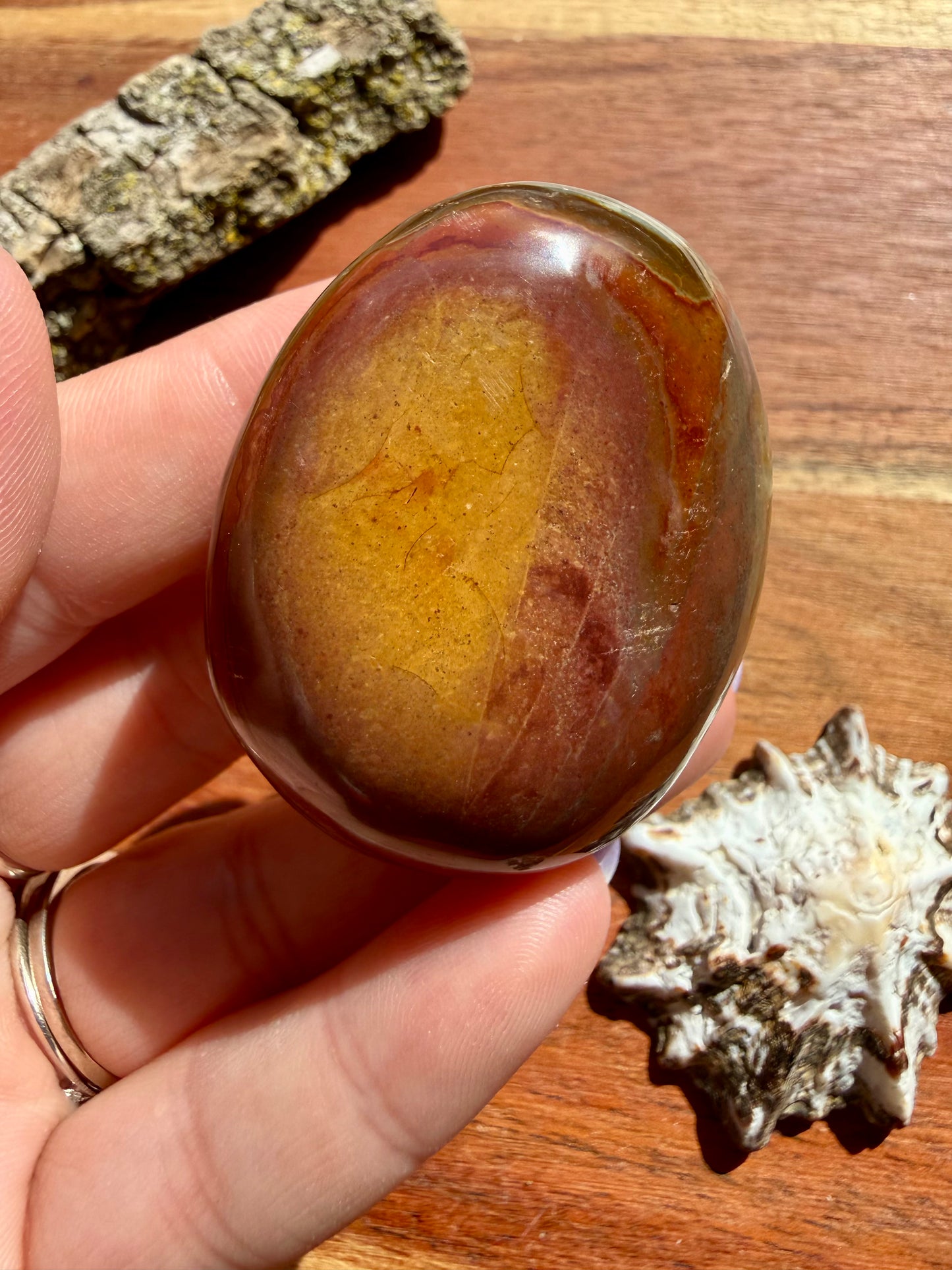 POLYCHROME JASPER PALM STONE