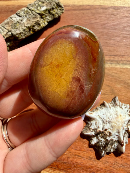 POLYCHROME JASPER PALM STONE