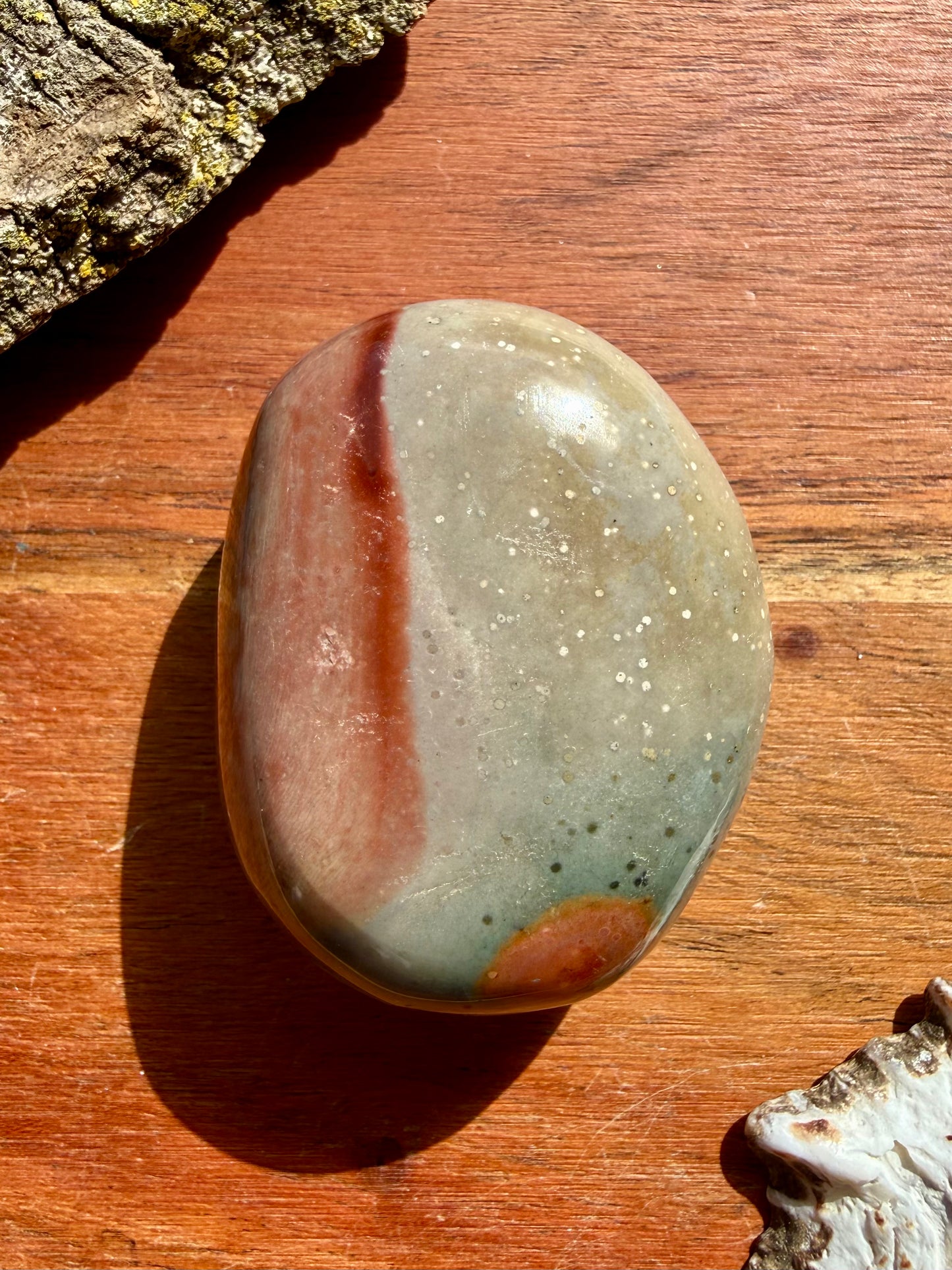 POLYCHROME JASPER PALM STONE