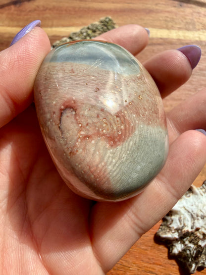 POLYCHROME JASPER PALM STONE