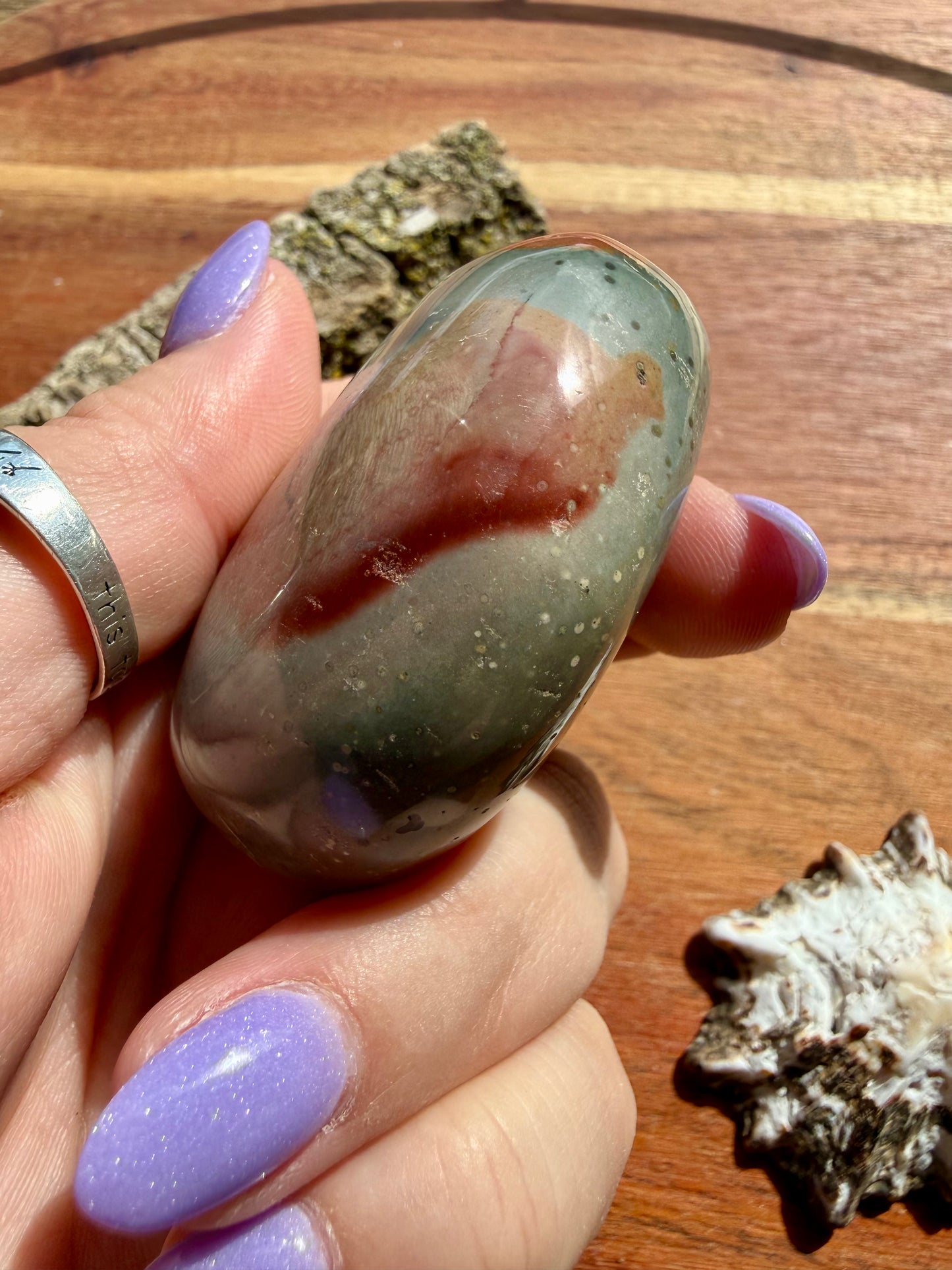 POLYCHROME JASPER PALM STONE