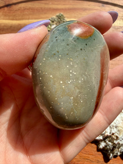 POLYCHROME JASPER PALM STONE