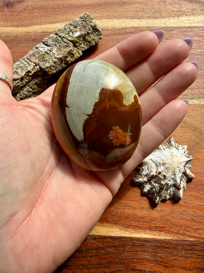 POLYCHROME JASPER PALM STONE