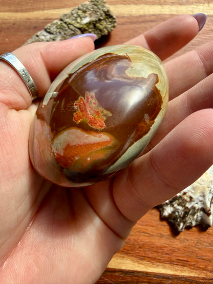 POLYCHROME JASPER PALM STONE