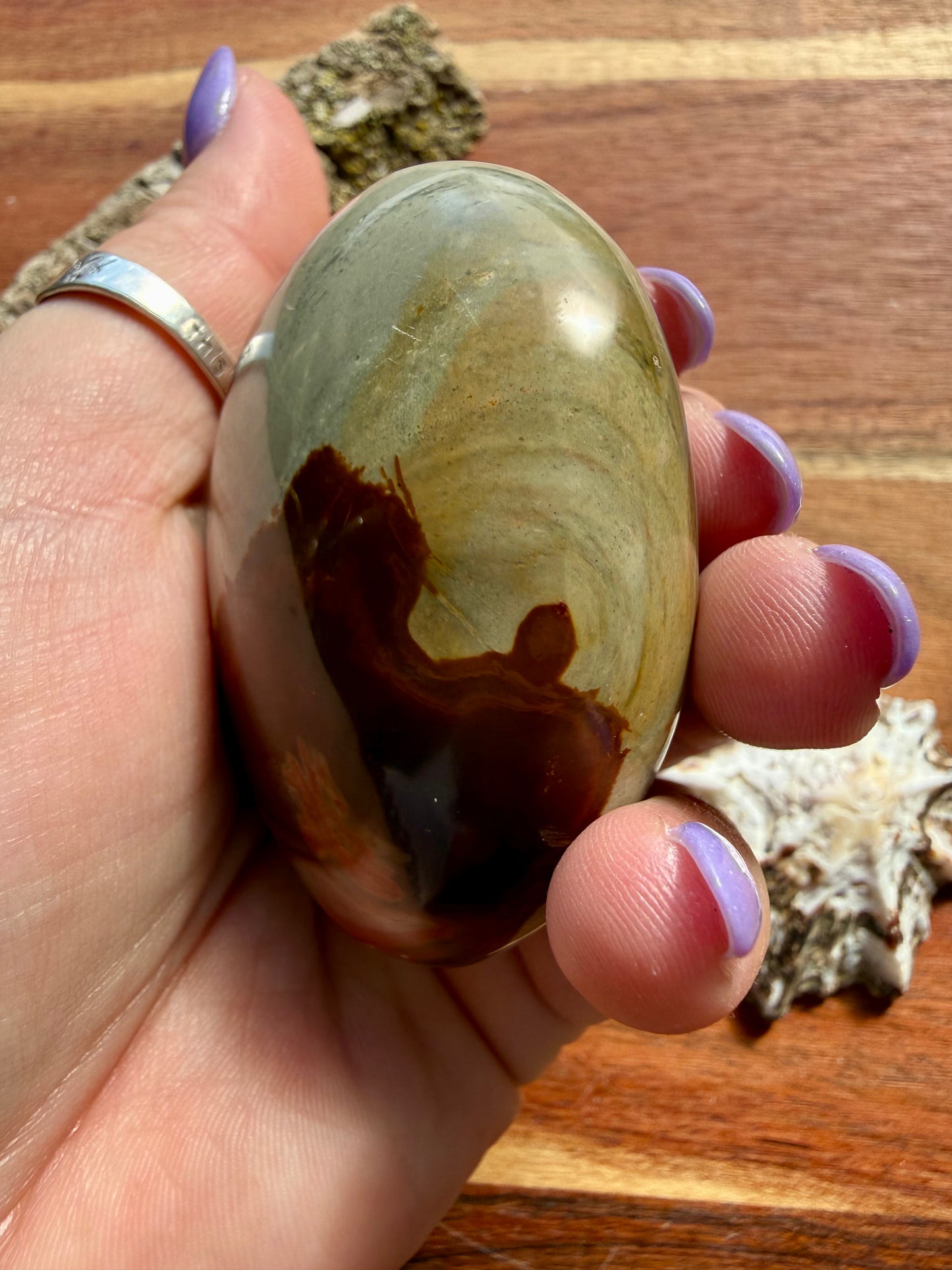 POLYCHROME JASPER PALM STONE