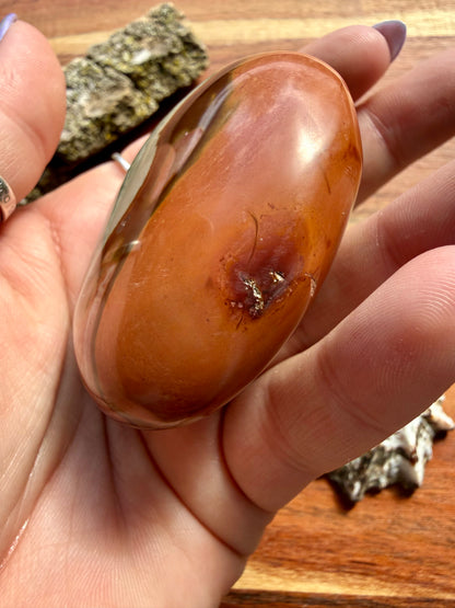 POLYCHROME JASPER PALM STONE
