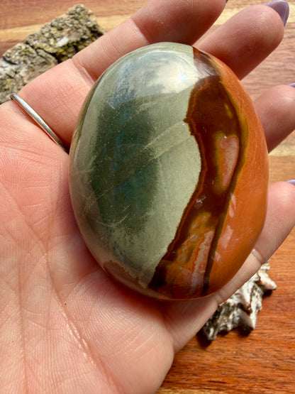 POLYCHROME JASPER PALM STONE