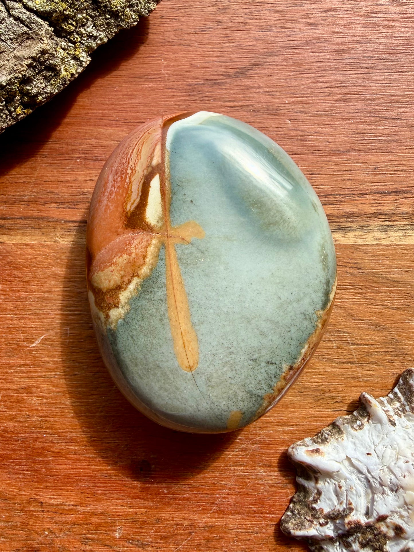 POLYCHROME JASPER PALM STONE