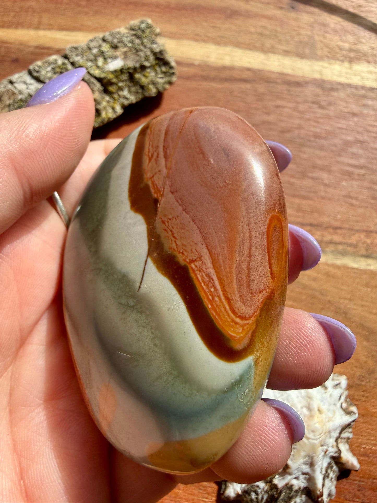 POLYCHROME JASPER PALM STONE