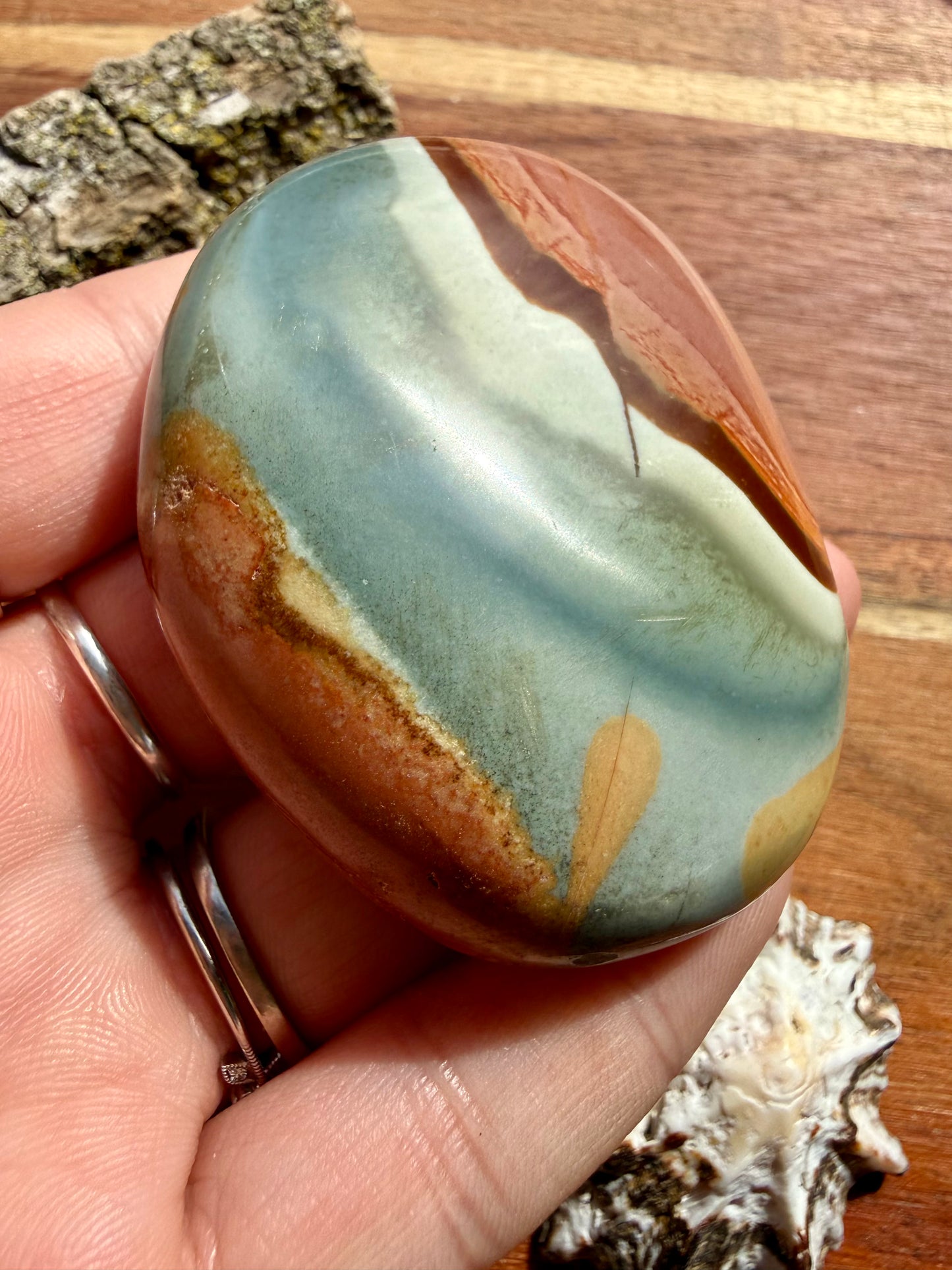 POLYCHROME JASPER PALM STONE
