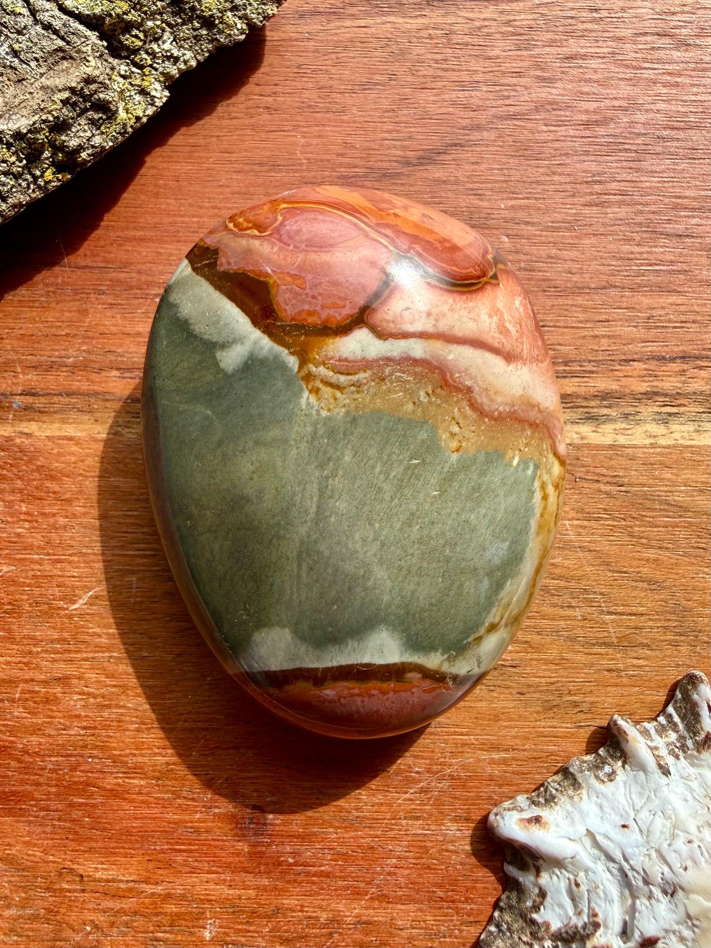 POLYCHROME JASPER PALM STONE