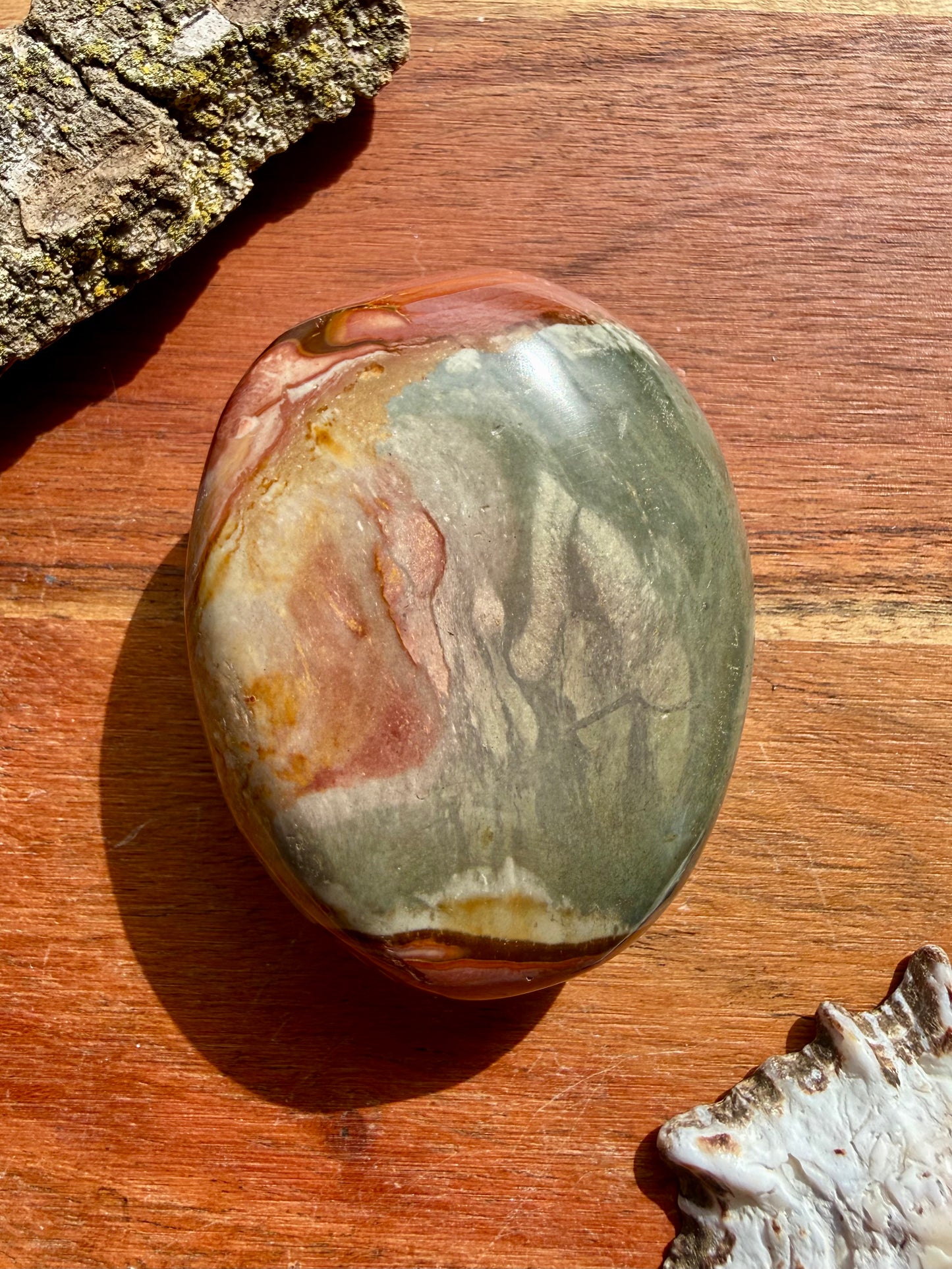 POLYCHROME JASPER PALM STONE