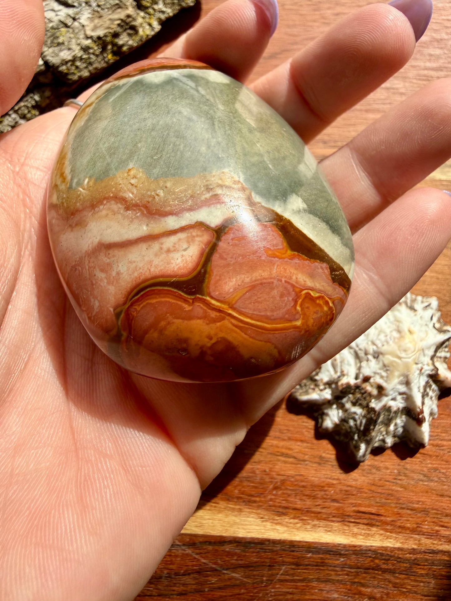 POLYCHROME JASPER PALM STONE